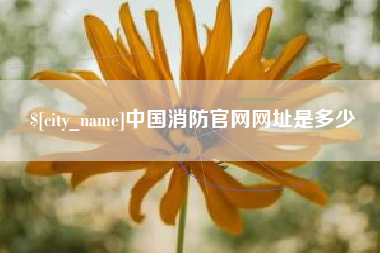 分宜中国消防官网网址是多少