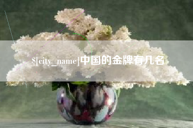 分宜中国的金牌有几名