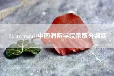 分宜中国消防学院录取分数线