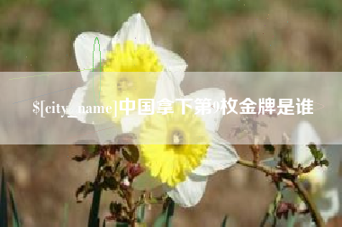 分宜中国拿下第9枚金牌是谁