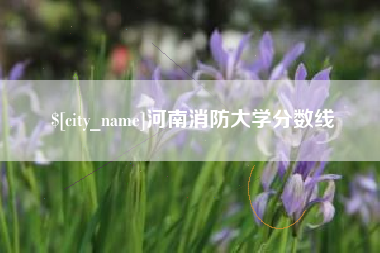 分宜河南消防大学分数线