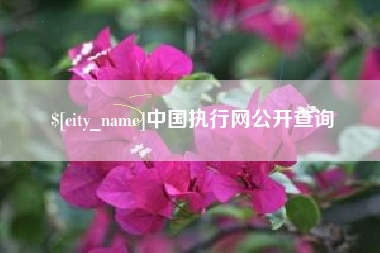 分宜中国执行网公开查询
