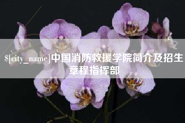 分宜中国消防救援学院简介及招生章程指挥部