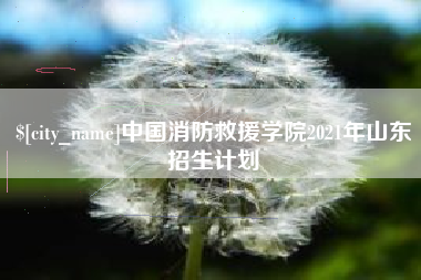 分宜中国消防救援学院2021年山东招生计划