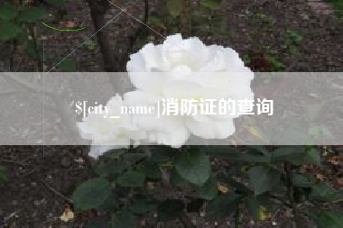 分宜消防证的查询