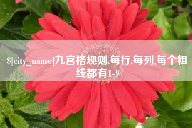 分宜九宫格规则,每行,每列,每个粗线都有1-9