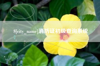 分宜消防证初级查询系统