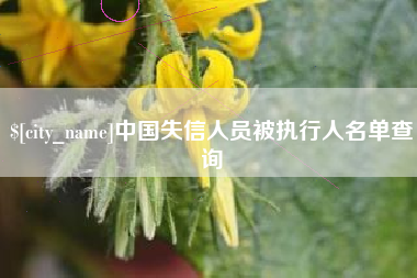 分宜中国失信人员被执行人名单查询