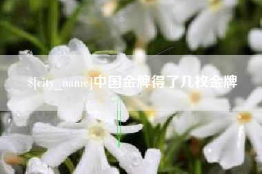 分宜中国金牌得了几枚金牌