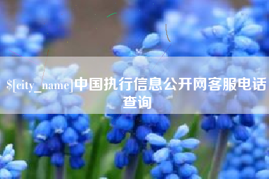 分宜中国执行信息公开网客服电话查询
