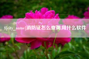分宜消防证怎么查询,用什么软件