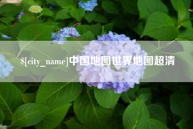 分宜中国地图世界地图超清