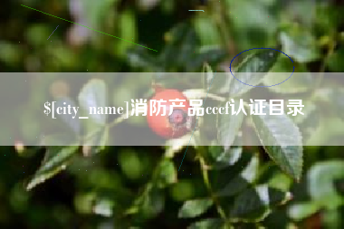 分宜消防产品cccf认证目录