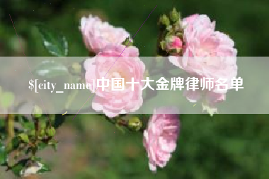 分宜中国十大金牌律师名单