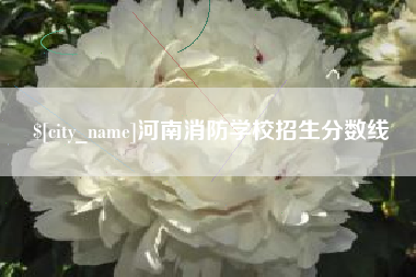 分宜河南消防学校招生分数线
