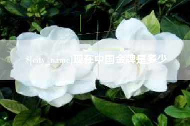 分宜现在中国金牌是多少