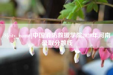 分宜中国消防救援学院2020年河南录取分数线