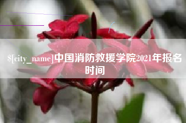 分宜中国消防救援学院2021年报名时间