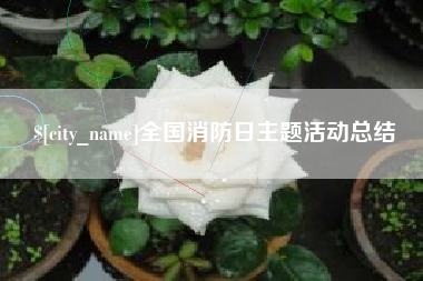 分宜全国消防日主题活动总结