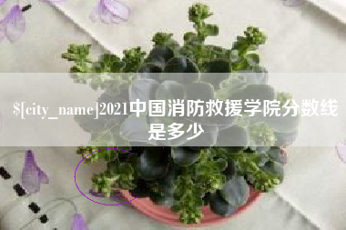 分宜2021中国消防救援学院分数线是多少