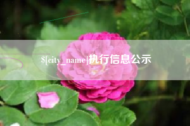 分宜执行信息公示