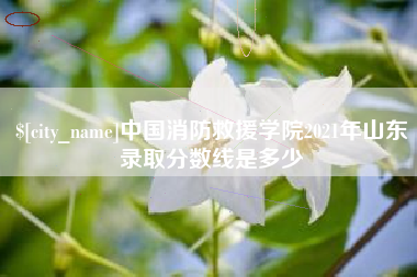 分宜中国消防救援学院2021年山东录取分数线是多少
