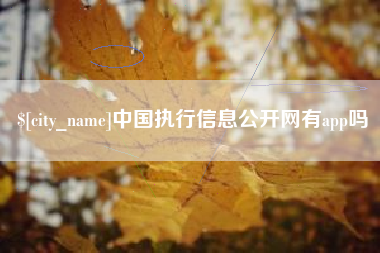 分宜中国执行信息公开网有app吗