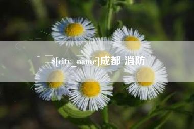 分宜成都 消防
