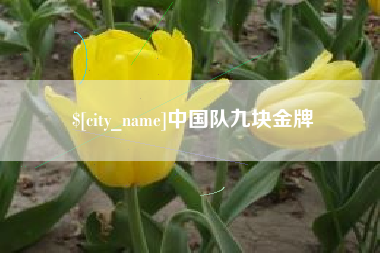 分宜中国队九块金牌