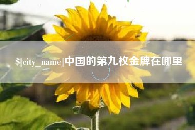 分宜中国的第九枚金牌在哪里