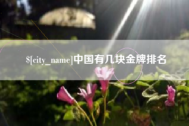 分宜中国有几块金牌排名