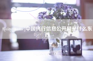 分宜中国执行信息公开网是什么东西