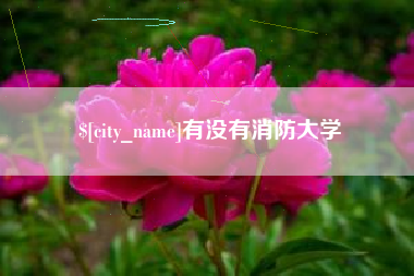 分宜有没有消防大学