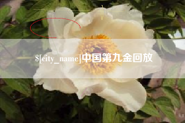 分宜中国第九金回放