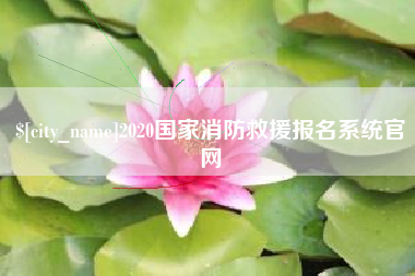 分宜2020国家消防救援报名系统官网