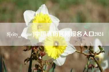 分宜中国消防官网报名入口2024