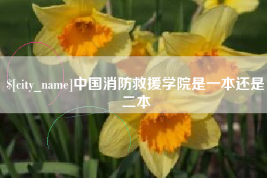 分宜中国消防救援学院是一本还是二本