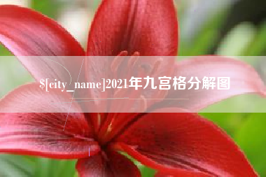 分宜2021年九宫格分解图