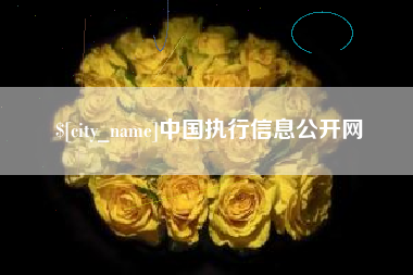 分宜中国执行信息公开网