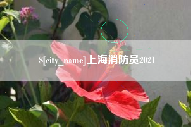 分宜上海消防员2021