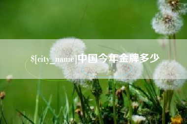 分宜中国今年金牌多少