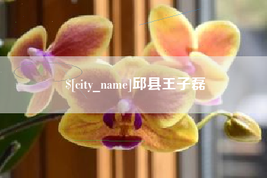 分宜邱县王子磊