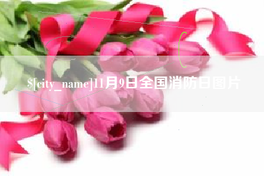 分宜11月9日全国消防日图片