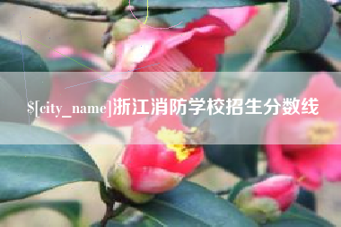 分宜浙江消防学校招生分数线