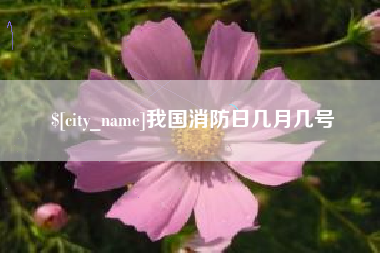 分宜我国消防日几月几号
