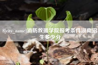 分宜消防救援学院报考条件湖南招生多少分