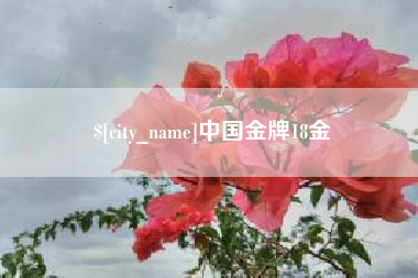 分宜中国金牌18金