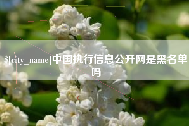 分宜中国执行信息公开网是黑名单吗