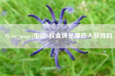 分宜中国6枚金牌是哪些人获得的