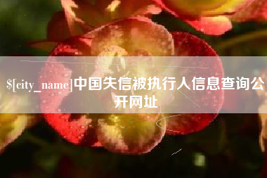 分宜中国失信被执行人信息查询公开网址